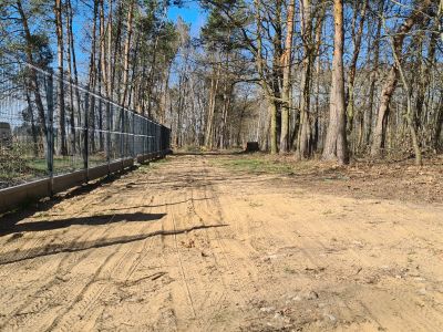 Las za oknem, projekt w ręku - działka gotowa do budowy